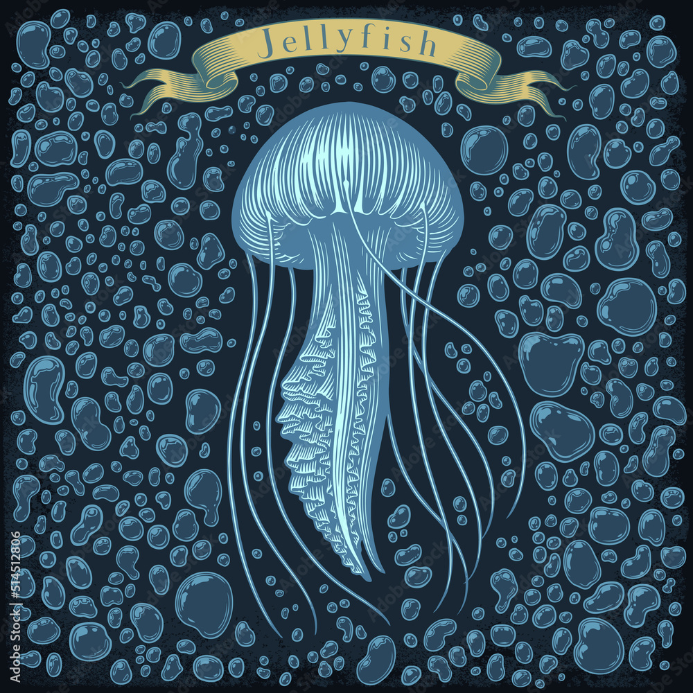 Jellyfish in the sea. Editable hand drawn illustration. Vector vintage