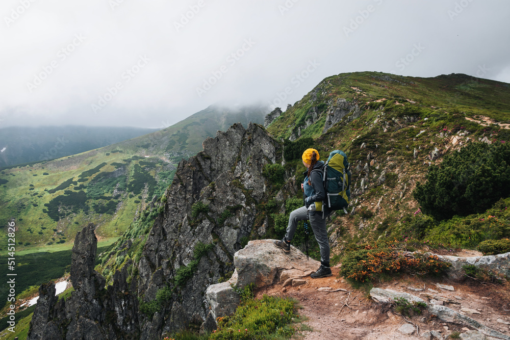 Girl hiker stands on a rock in the mountains. Trekking life. Hike through the Carpathian mountains. Green mountain slopes and blooming rhododendron.