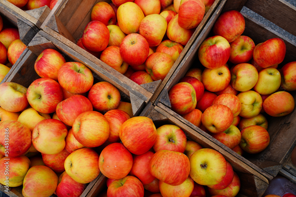 Organic apples in crates at a farmers market Organic apples in crates at a farmers market