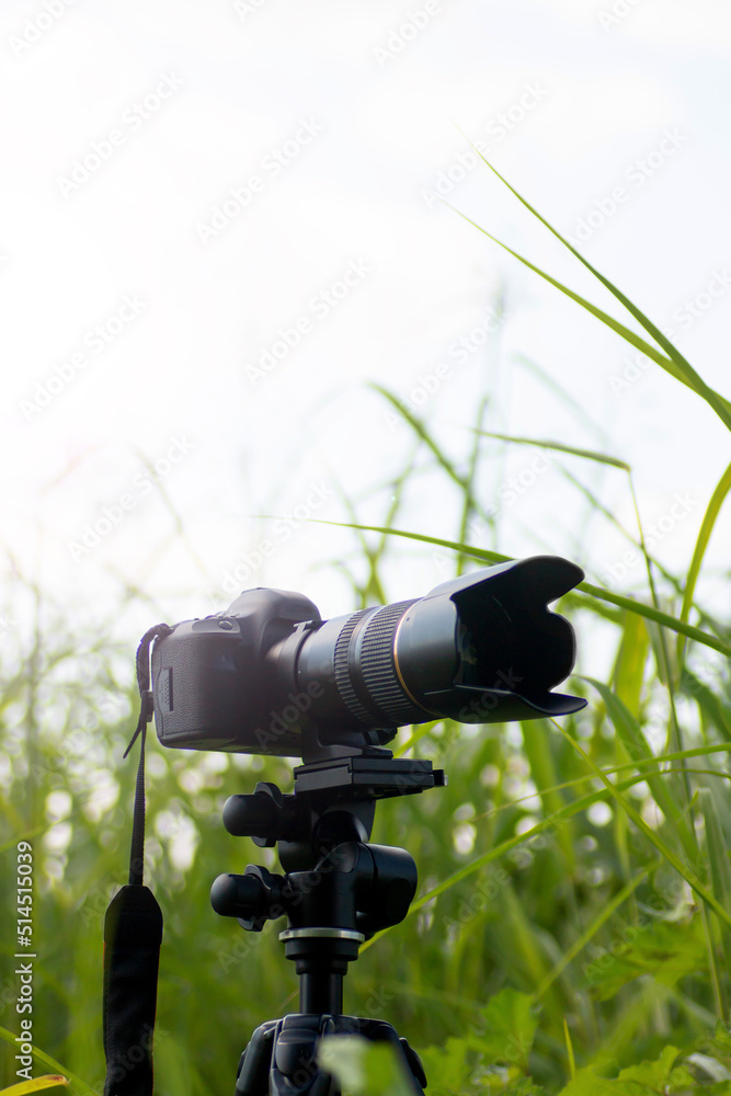 The camera and zoom lens are tuned to capture wildlife in nature. Photography hobby.