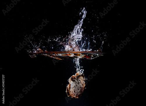 water splash shell isolated on black © cafera13