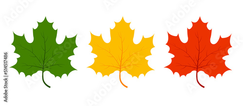Various autumn maple leaves on white background. Vector illustration autumn fallen leaves. Leaf in red, yellow, and green colors. Autumn background.