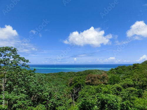 An aerial view of a tropical beach in Roatan Honduras