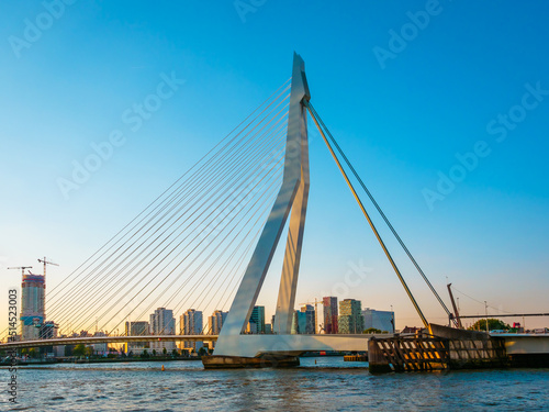 Rotterdam with bridge and skyline