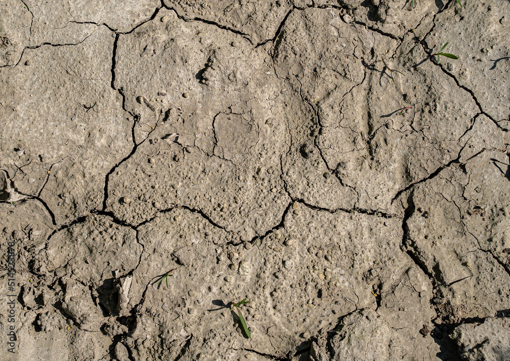Ackerbau - Klimawandel, ausgetrockneter Boden wird rissig. 