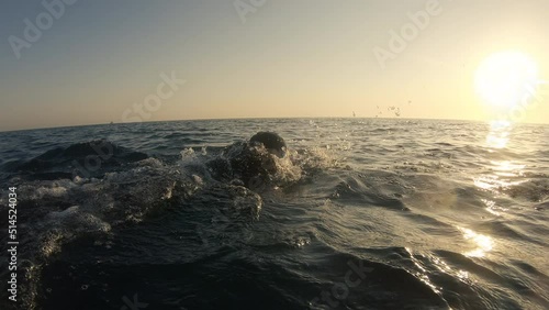Man training front crawl technique in open water, back view. Sportsman swimming in choppy sea at sunset. Swimmer workout, tracking shot from backside