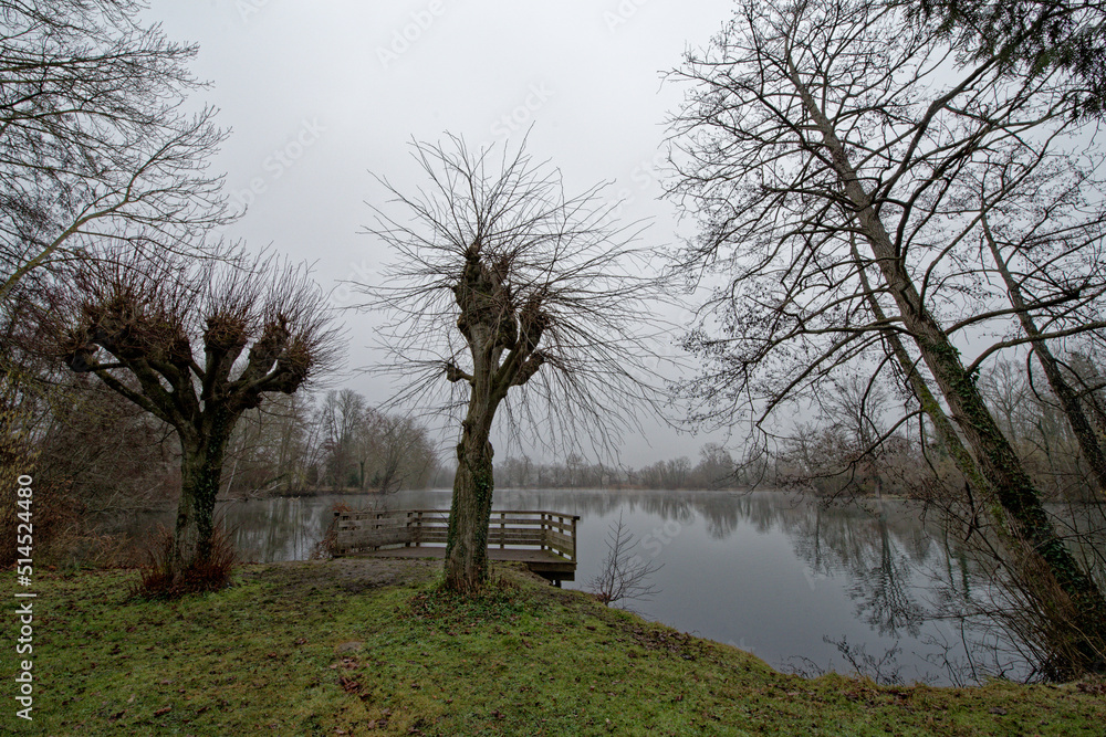 Fototapeta premium Etang en hiver à Boigny