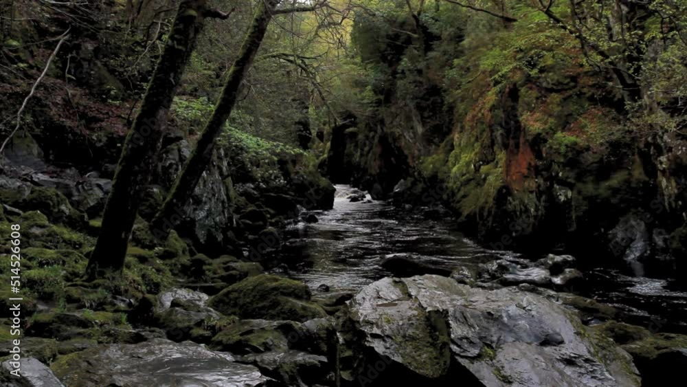 Beautiful Gorge with river The Fairy Glen, Betws-y-Coed, Snowdonia, Wales, UK Beautiful Gorge with river The Fairy Glen, Betws-y-Coed, Snowdonia, Wales, UK
