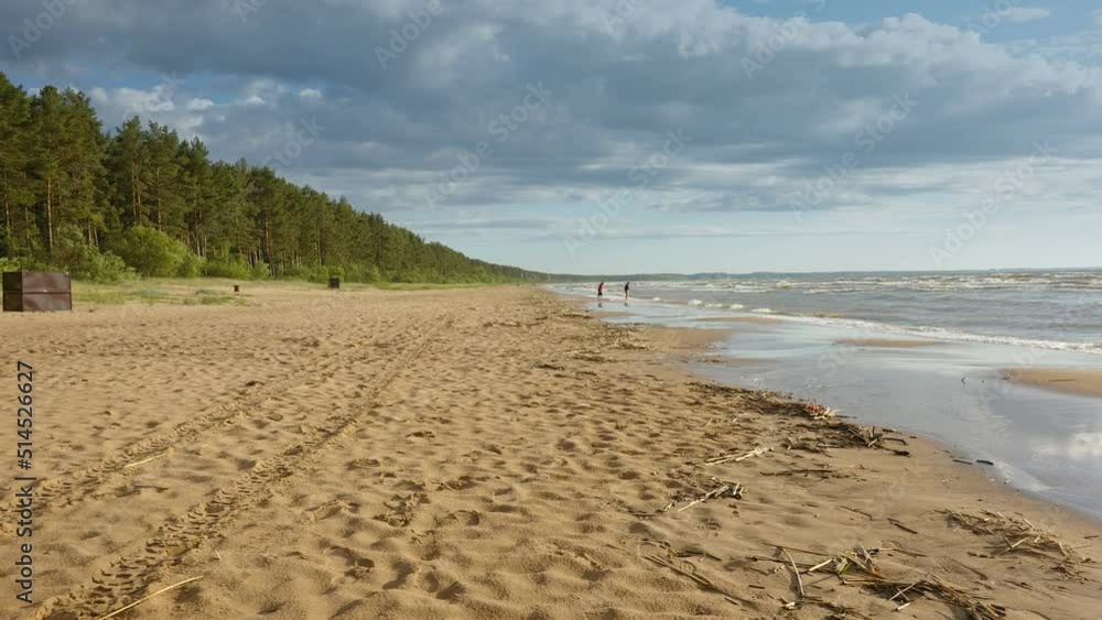 Walking on the shoreline of the white sand beach with the little waves from the water in Estonia Walking on the shoreline of the white sand beach with the little waves from the water in Estonia