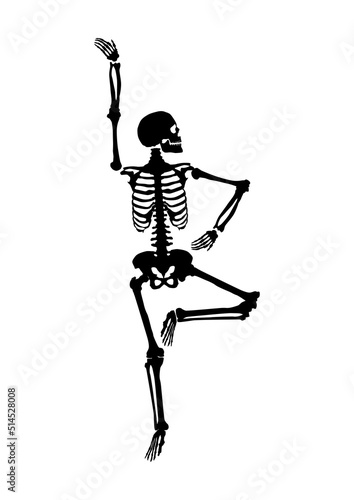 Silhouette of a skeleton in yoga position. Vector.