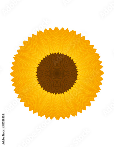 Girasol 