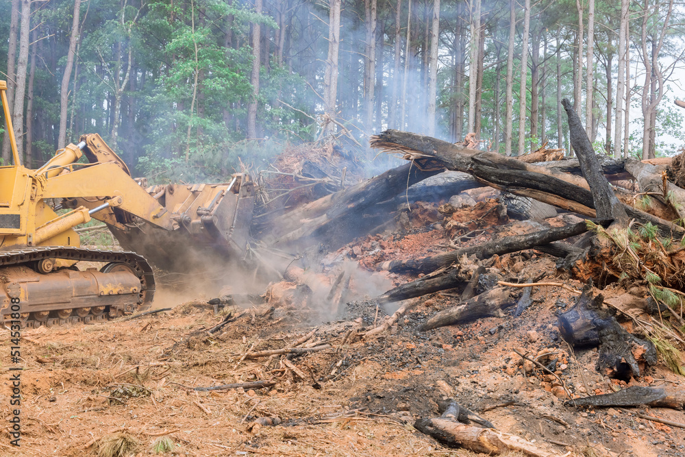 Land preparation for construction of new houses, fires used to burn uprooted forests in construction site