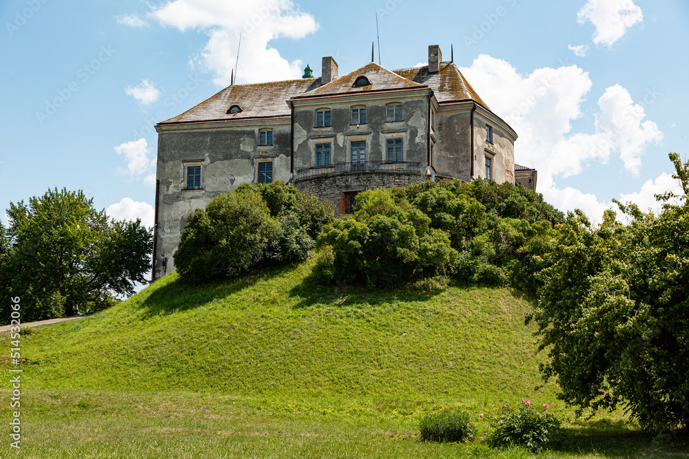 Fototapeta premium Elements of the building structure of the Olesco Castle in Ukraine one of the oldest parks in the country