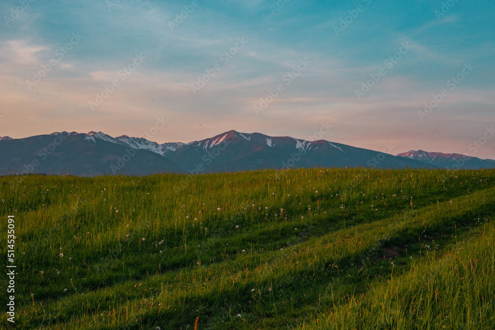Fototapeta premium Greenfield with mountains landscape