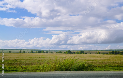 Shrub next to an asphalt road against the background of a field and a cloudy landscape