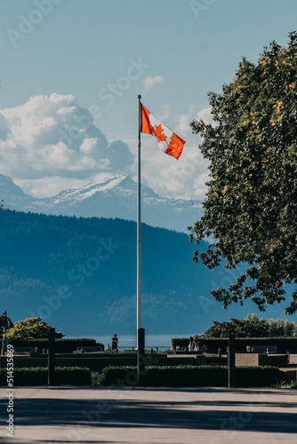 Canada flag with snow mountains background 