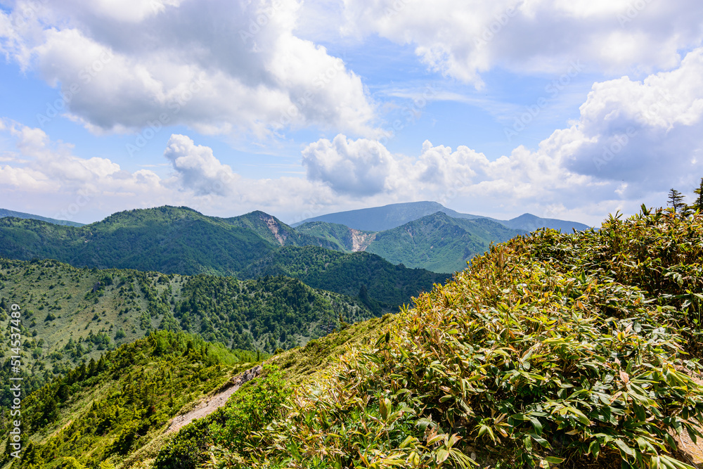 Obraz premium 初夏の山