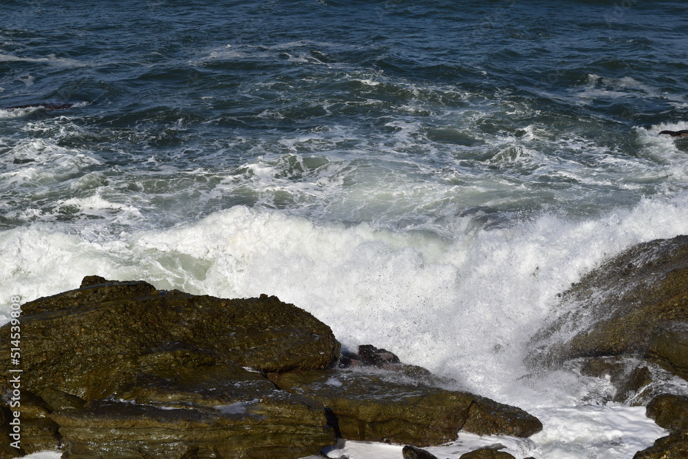Fototapeta premium 岩場の荒波 日本海