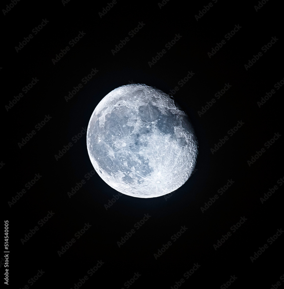 Obraz premium moonnight