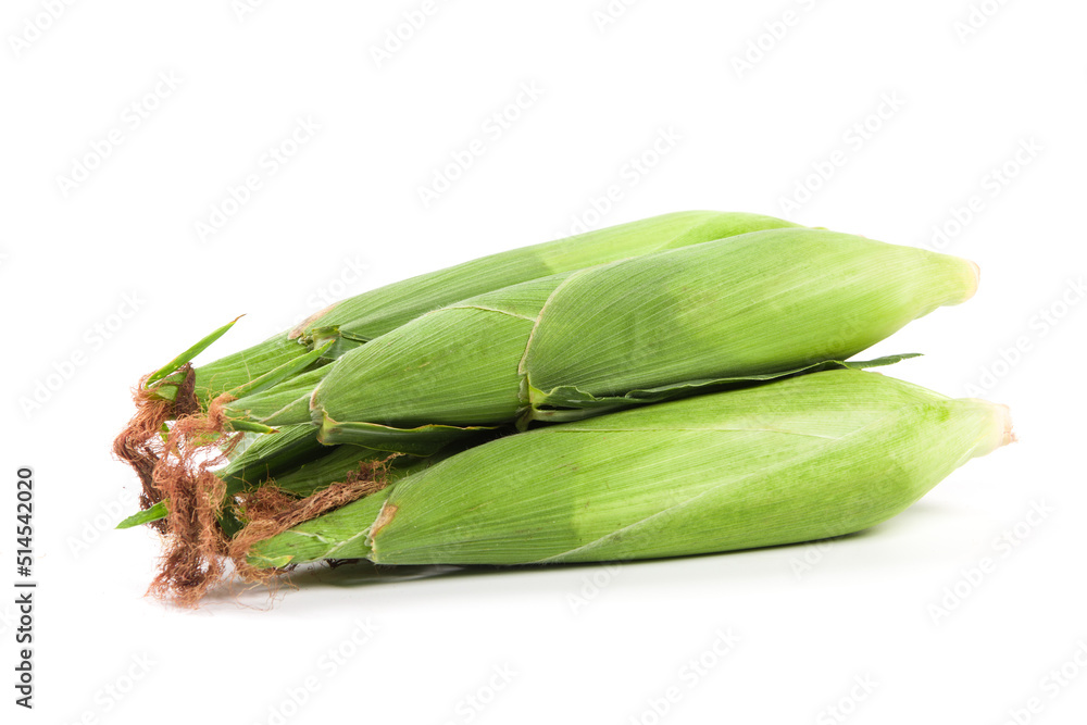 unpeeled corn cobs isolated on white background