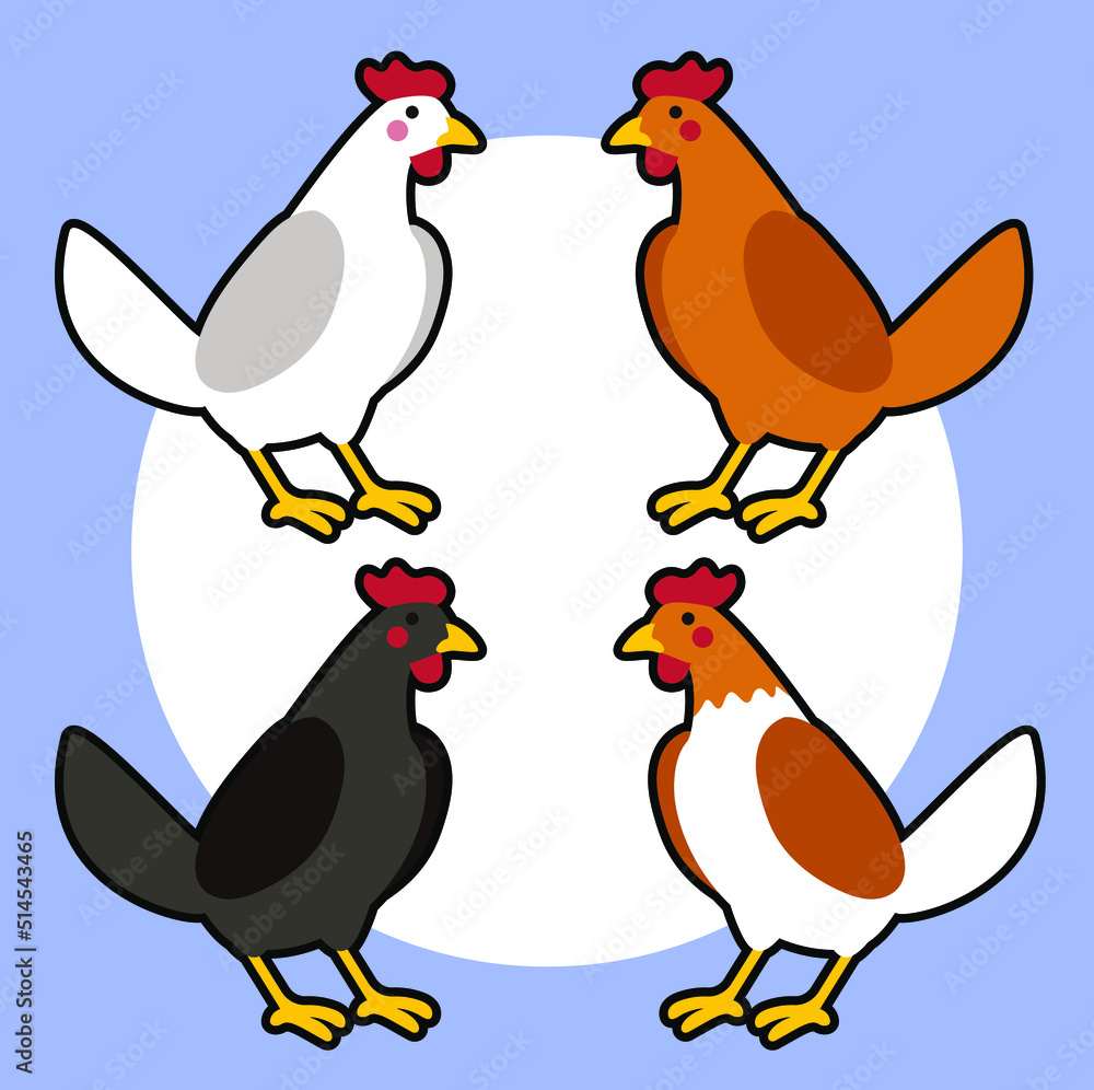 Fototapeta premium Gallinas de diferentes colores Ilustración vectorial
