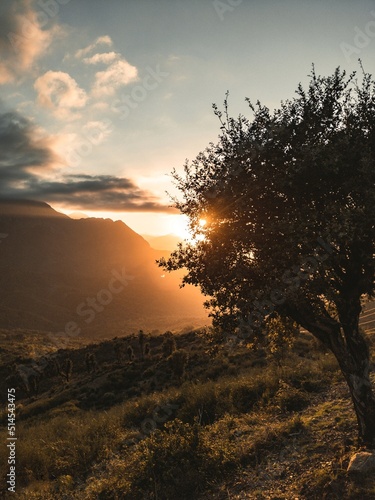 Sunset behind a tree on the mountain