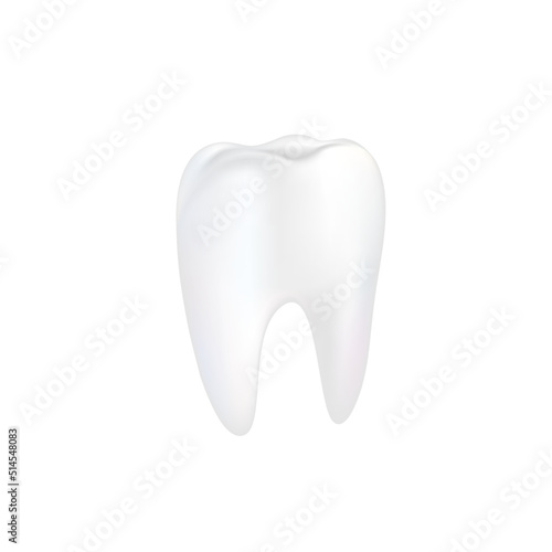 Realistic tooth on white background vector illustration