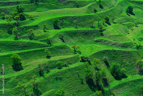 terraced farmland on the mountain slopes in Dagestan