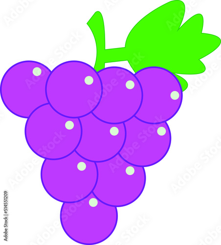 purple grape on white background, purple grape  illustration vector, purple grape  icon vector, purple grape animation vector for your design needs