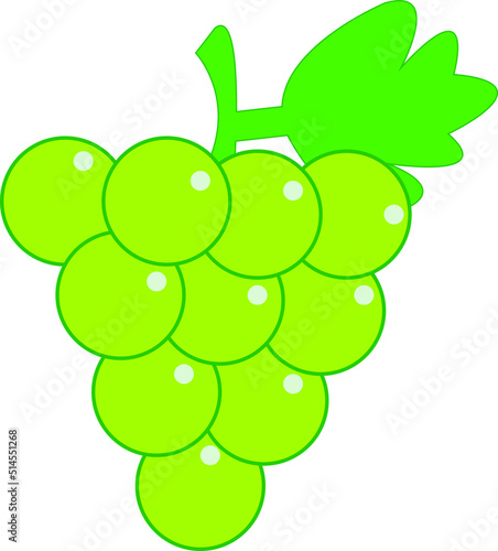 green grape on white background, green grape illustration vector, green grape icon vector, green grape animation vector for your design needs