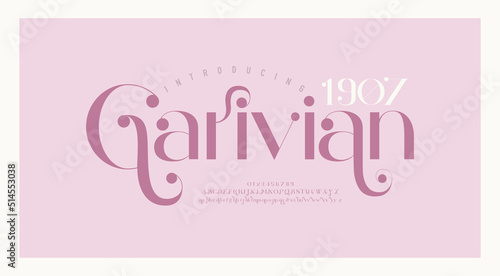 Elegant wedding alphabet letters font and number. Typography luxury classic lettering serif fonts decorative vintage retro concept. vector illustration