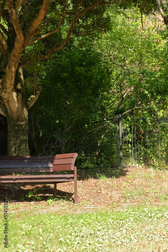 公園の木陰のベンチ