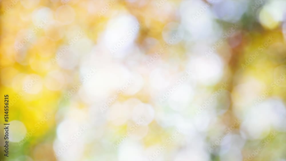 Beauty in Nature. Beautiful blurry forest vibrant bokeh nature background. 4K Sunlight shining through the leaves of trees. Abstract summertime and springtime background. Ecology Environment backgroun Beauty in Nature. Beautiful blurry forest vibrant bokeh nature background. 4K Sunlight shining through the leaves of trees. Abstract summertime and springtime background. Ecology Environment backgroun