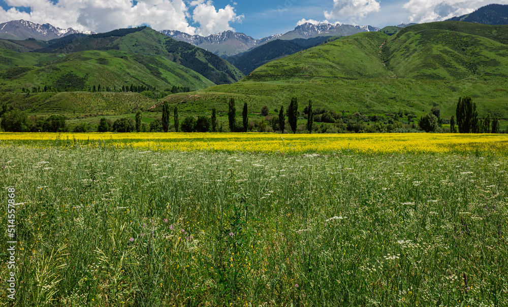 Nature in the country of Kyrgyzstan in the month of June