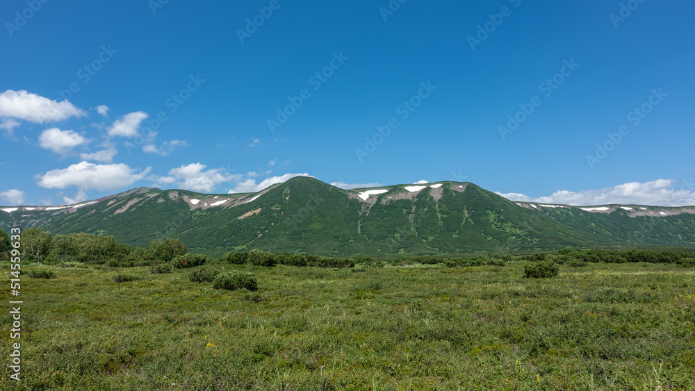 Lush green grass and shrubs grow on the Alpine meadow. A mountain range against the blue sky. Kamchatka