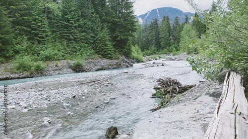 Fitzsimmons Creek - Whistler - British Columbia - Canada - Summer 2022 photo