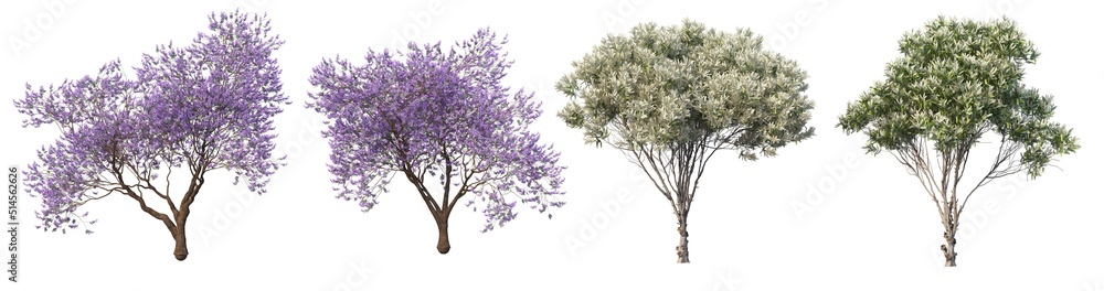 Naklejka premium A tree with flowers on a white background.