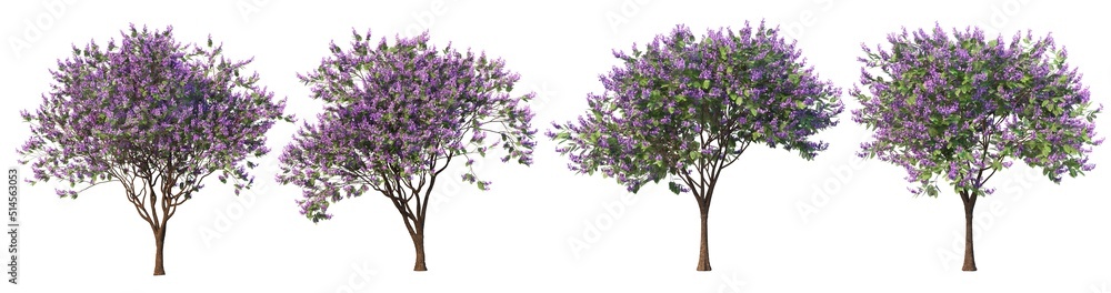 A tree with flowers on a white background.