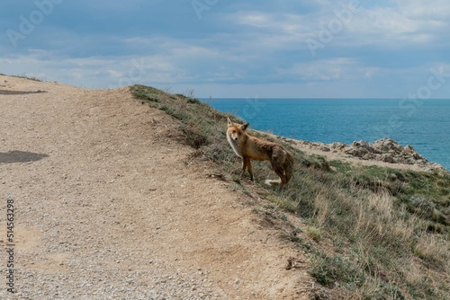 landscape with rocks and sky