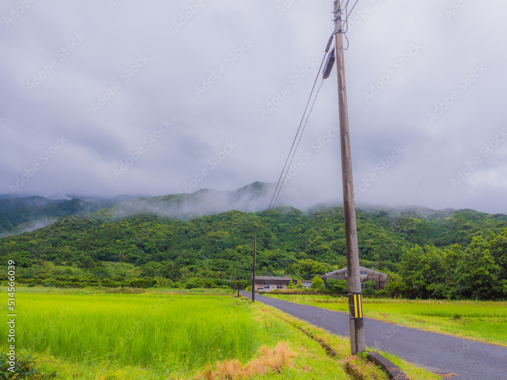 雨上がりの田舎道_01