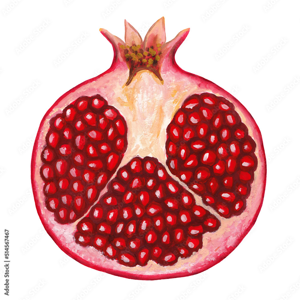half pomegranate cutout raster hand drawn realistic drawing Stock