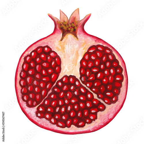 half pomegranate cutout - raster hand drawn realistic drawing