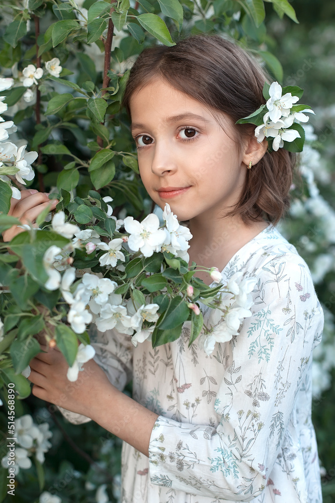 A sweet 9-year-old girl with big beautiful eyes and a light dress in blooming white apple trees. Spring walks in the blooming garden. apple blossom A sweet 9-year-old girl with big beautiful eyes and a light dress in blooming white apple trees. Spring walks in the blooming garden. apple blossom