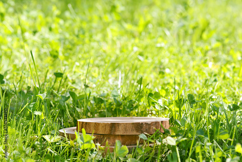 Round cut of a tree, a pedestal for an object, a podium for cosmetics. Summer sunshine, against the background of lush green grass.