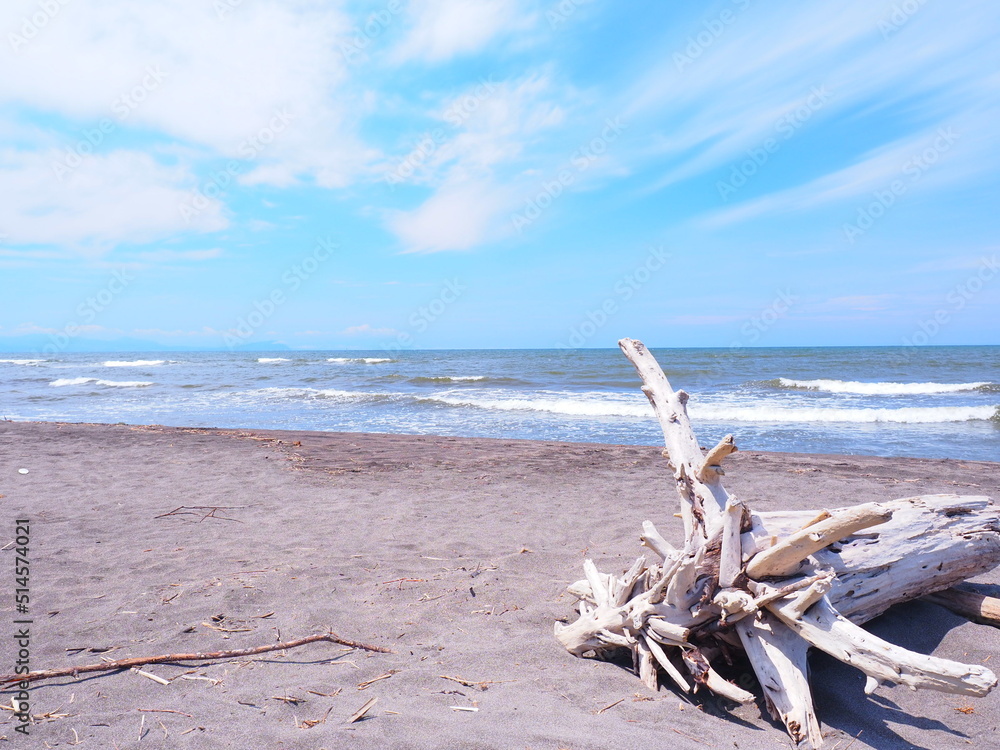 北海道の風景 流木と石狩浜 Photos | Adobe Stock