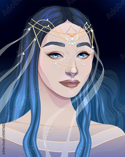 Portrait of a beautiful woman with tiara. Vector cartoon illustration. Vector illustration.
