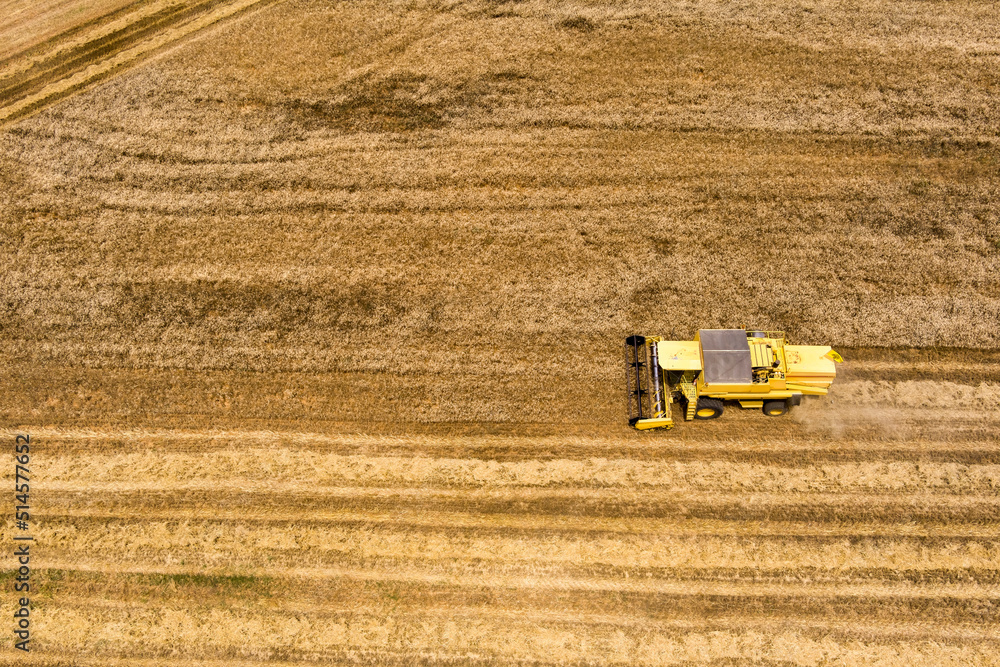 Obraz premium Aerial view of modern combine harvester collecting ripe wheat.
