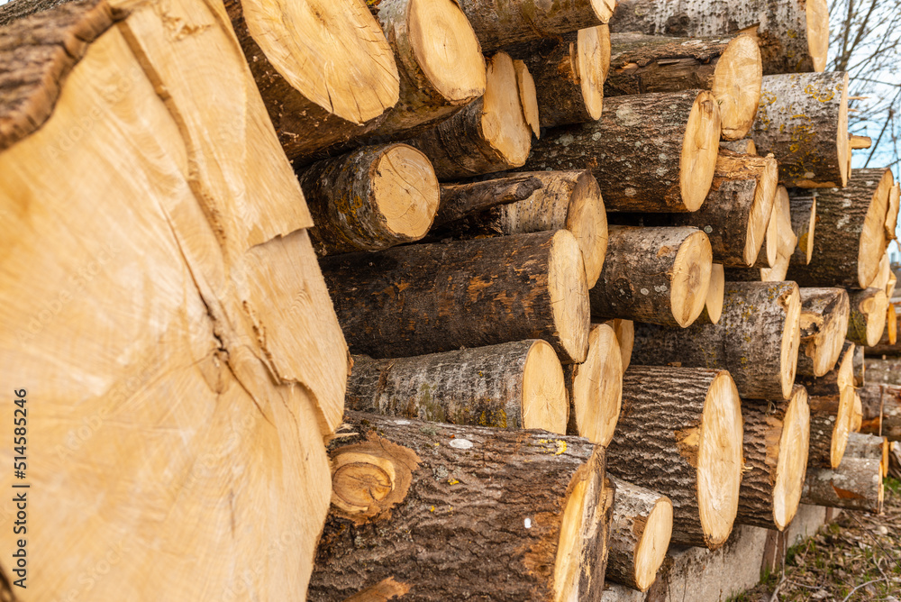 Pile of wood logs storage for industry.Stacked loggs of fire wood texture background.Selective focus. Pile of wood logs storage for industry.Stacked loggs of fire wood texture background.Selective focus.