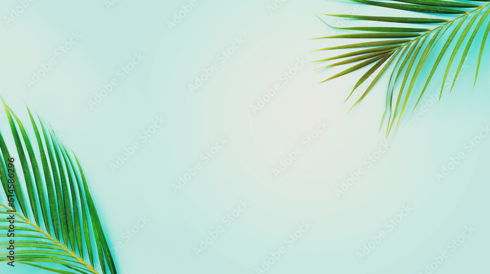Image of tropical green palm over blue pastel background