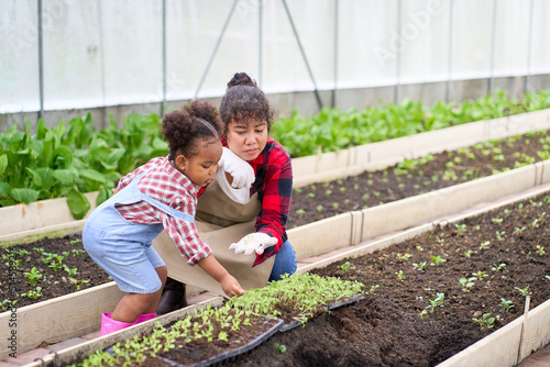 Mom and daughter learning in organic farm for seeding green house